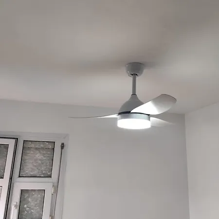 Entero En La Línea de la Concepción
