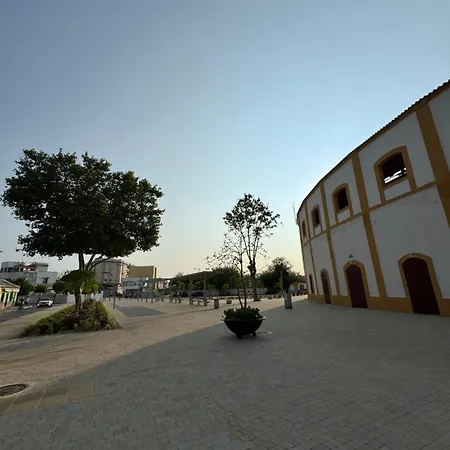 Entero En La Línea de la Concepción